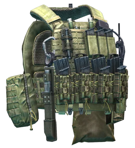 Gilet tactique porte-plaque 5.11 Tactical TacTec (Ranger Green) dans Escape from Tarkov