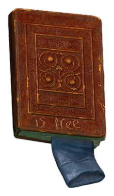 Libro antiguo y maltratado en Escape from Tarkov