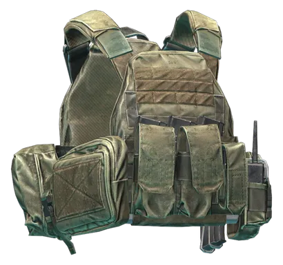 WARTECH TV-110 plate carrier (Coyote) in Escape from Tarkov
