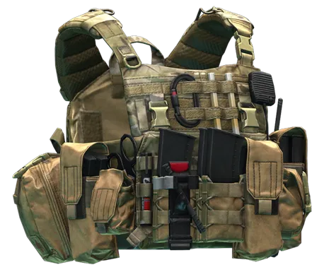 Porta piastre Ars Arma A18 Skanda (MultiCam) in Escape from Tarkov