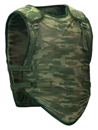 Бронежилет 6Б2 (Флора) в Escape from Tarkov