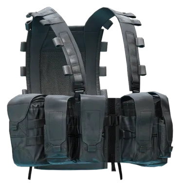 Gilet tactique Velocity Systems MPPV (Wolf Grey) dans Escape from Tarkov