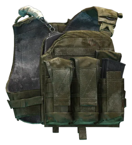 Porta piastre Crye Precision AVS (Edizione Tagilla) in Escape from Tarkov