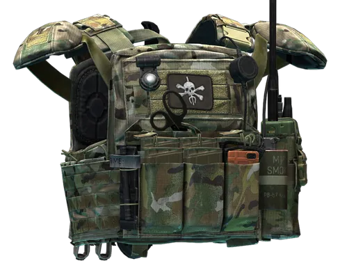 Crye Precision CPC plate carrier (Goons Edition) in Escape from Tarkov