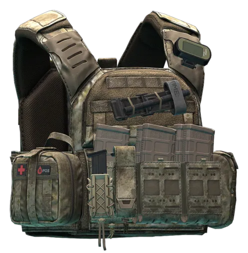 Porta piastre Shellback Tactical Banshee (A-TACS AU) in Escape from Tarkov