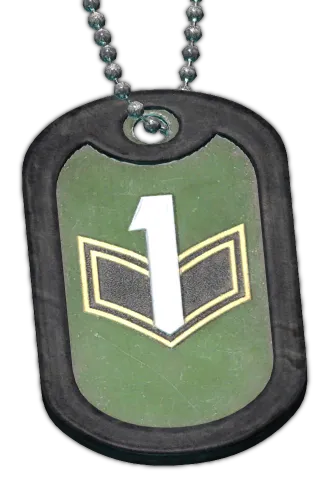 Dogtag BEAR in Escape from Tarkov